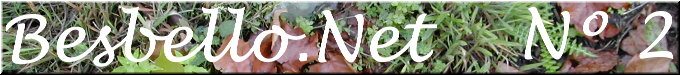 Besbello.Net2