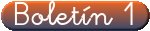 Bolet&iacute;n 1