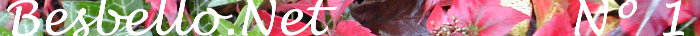 Besbello.Net 1