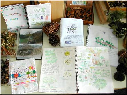 Traballos, debuxos e froitos