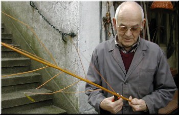 cortando as rami&ntilde;as