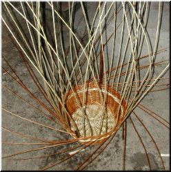 O cesto vai medrando