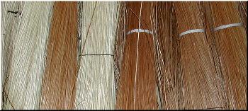 M&eacute;dula de xunco