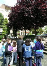 &iexcl;Mirade ben as caracter&iacute;sticas!