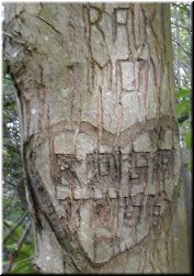 Inscripci&oacute;n nunha &aacute;rbore