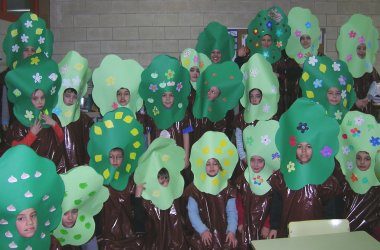 M&aacute;is &aacute;rbores noutro grupo