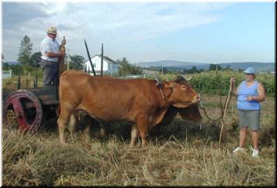 Preparados para a carga