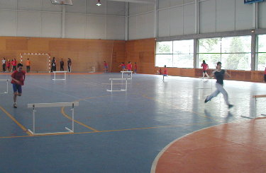 Carreira de obst&aacute;culos