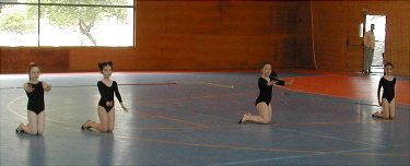 Grupo de ximnasia r&iacute;tmica