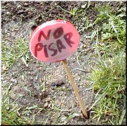 As sinais feitas por Amar