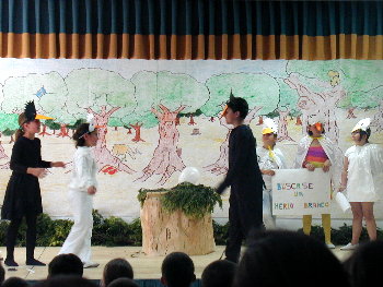 Buscando o merlo branco