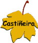 Casti&ntilde;eiro