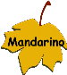 Mandarino