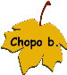 Chopo branco