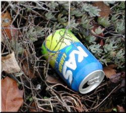 Lata no xard&iacute;n