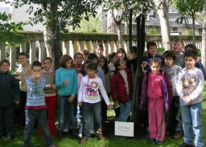 3&ordm; A coa placa que da mone  &oacute; Loureiro