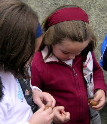 &iexcl;Est&aacute;n boas!