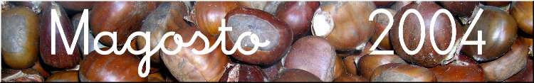 Magosto 2004
