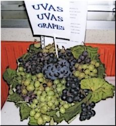 Uvas