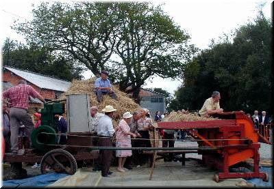 vai comenza-la trilla