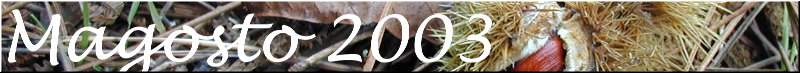 Magosto 2003