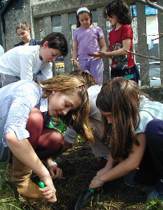 Est&aacute; moi  forte