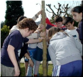 Suxeitando a moreira