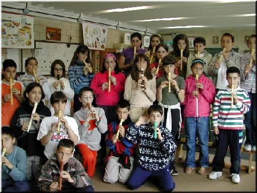 Aula de M&uacute;sica