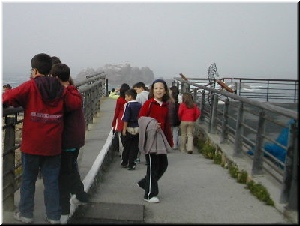 Saimos coa n&eacute;boa