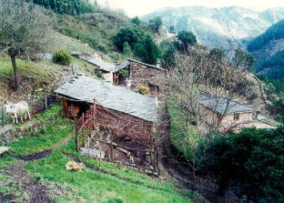 Unha vista da zona de "As Laceiras"