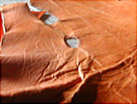 Coiro de cabalo ou poldro