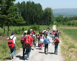 Volta &aacute; recepci&oacute;n