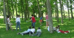 Alg&uacute;ns xogos no campo