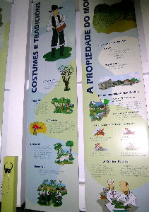 Tradici&oacute;ns e costumes