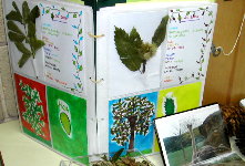 Outro caderno e fotos