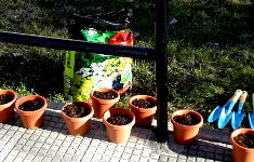 Macetas para as clases