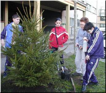 agora &iexcl;a regar!