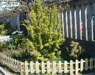 Valado contribuci&oacute;n da APA