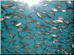 O recibimento dos peixes