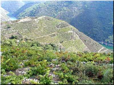 A Ribeira Sacra