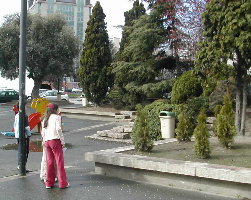 Poden ser esas &aacute;rbores