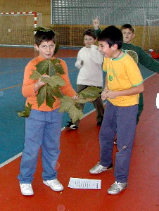 Non sei se vale na boca