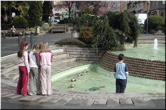 &iquest;No estanque?