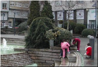 Seguro que es&aacute; nestas plantas