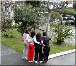 Observando as &aacute;rbores