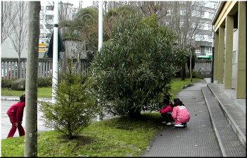 &iquest;Ser&aacute; aqu&iacute;?