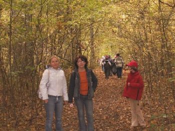 Bialowieza National Park