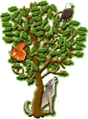 A vida entorno &aacute;s &aacute;rbores