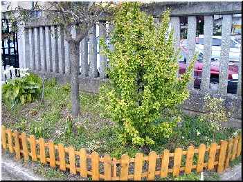 Valado dunha zona do xard&iacute;n