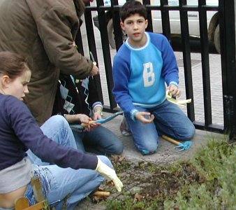 Arrincando as malas herbas